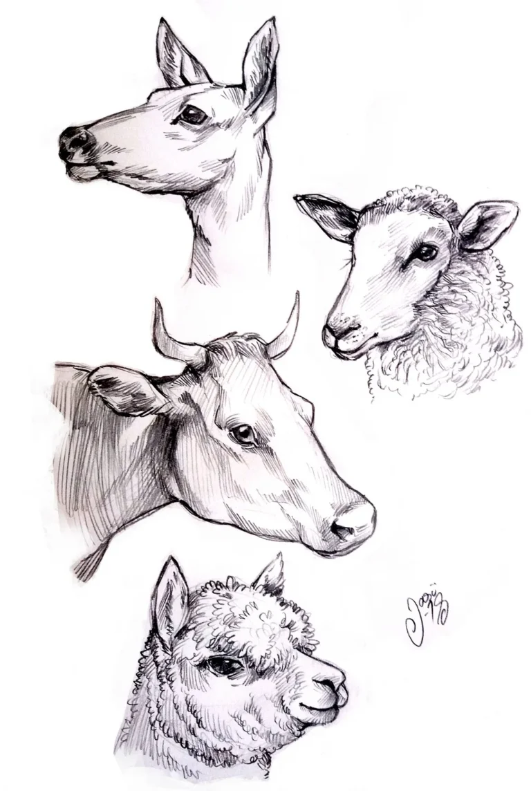 Sketches (101) - Sketches