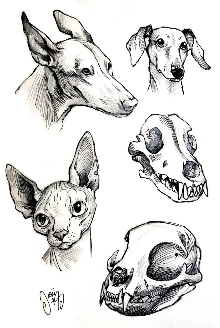 Sketches (103) - Sketches