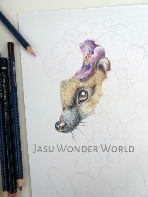 FLOWER HEDGEHOG - COMMISSION IN PROGRESS