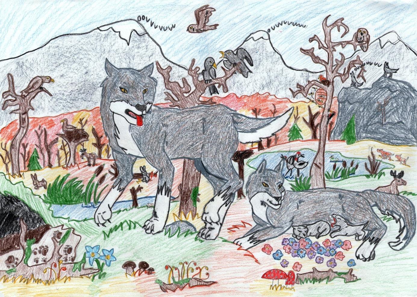 A detailed elementary-school drawing by Jasu: wolves, birds, trees and mushrooms in one forest scene